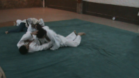 /album/judo-sn/vlcsnap-2012-10-26-06h17m45s195-png/