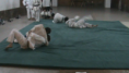 /album/fotogaleria/vlcsnap-2012-10-26-06h16m58s198-png1/